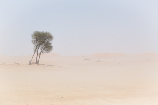 Dubai-Desert-photo-credit-robert-metz-713333-unsplash